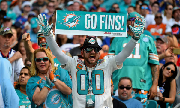 How to Become a Dolphins Super Fan