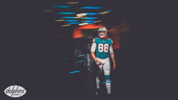 Dolphins Have Already Botched This Rebuild; Need To Re-sign Gesicki to Stop the Bleeding