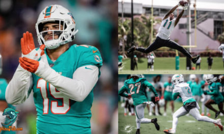 Three Dolphins Who Should have a Breakout Season