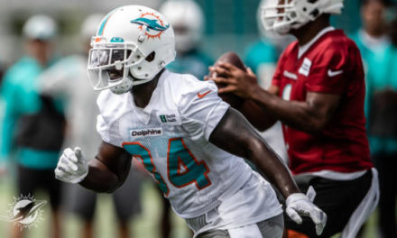 How should Miami Divide up its Running Back’s Workloads?
