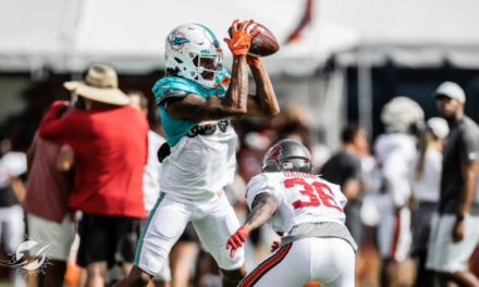 Dolphins First Step Starts This Week
