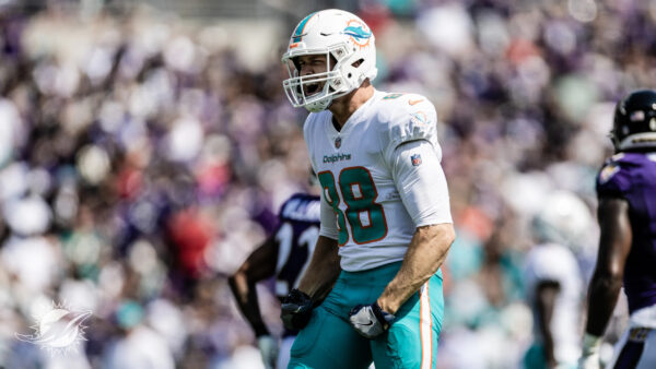 The Dolphins MUST NOT trade Mike Gesicki