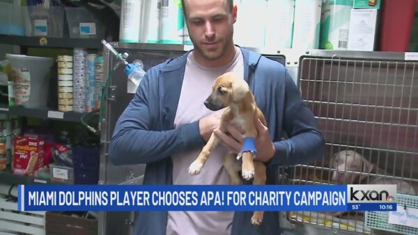 Miami Dolphins Tight End partners with Austin Pets Alive! for NFL’s My Cause My Cleats