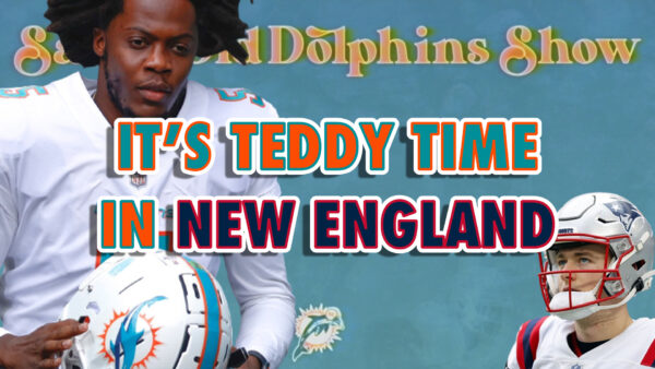 The Same Old Dolphins Show: It’s Teddy Time in New England