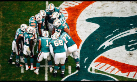 Dolphins Looking to Continue South Florida Sports Success
