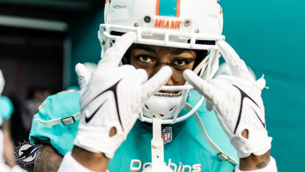 dolphins week one