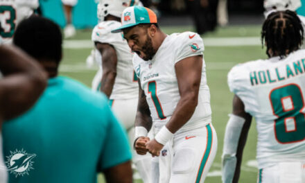 Relax Dolphins Fans…It’s Okay to Be Excited
