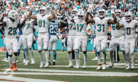 Dolphins Taking Care Of Business