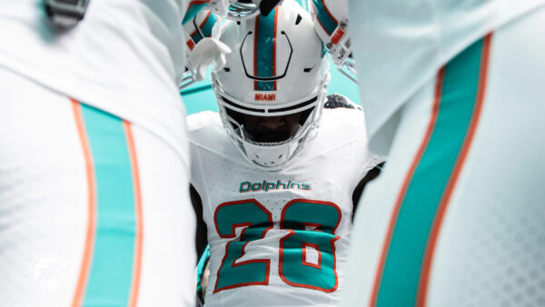 The Dolphins Have To Keep Winning