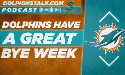 Dolphins Have a Great Bye Week