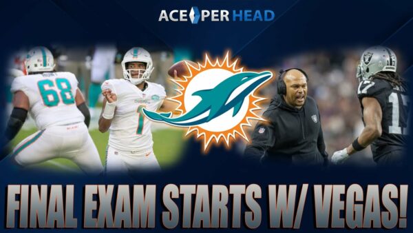 Final Exam for the Dolphins Starts Now