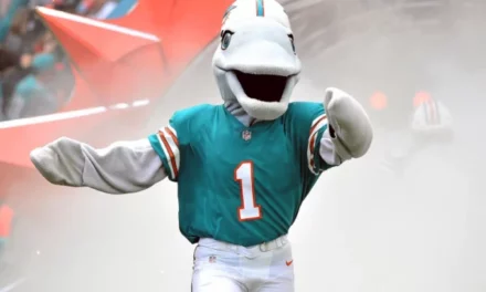 Miami Dolphins Officially has the NFL’s Most-Loved Enterance