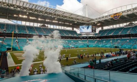 Diving into the World of Sports Betting and Fantasy Leagues: A Guide for Miami Dolphins Fans