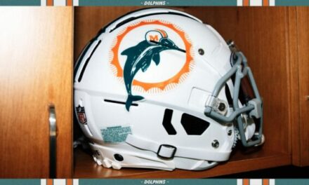 Facts about the Dolphins team on Casinos