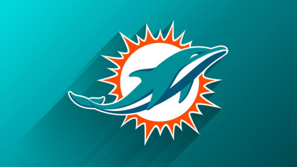 Reasons to Choose No Verification Bookmakers To Bet on Miami Dolphins from the UK