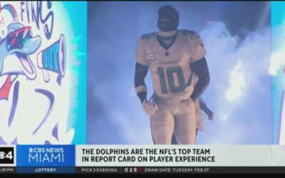 Miami Dolphins get straight A’s on NFLPA report card