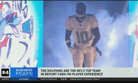 Miami Dolphins get straight A’s on NFLPA report card