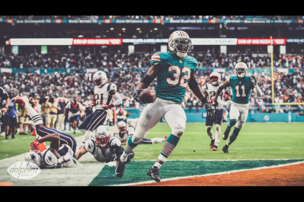My Favorite Moments as A Dolphins Fan