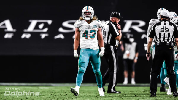 2020 Dolphins Thoughts & Resolutions