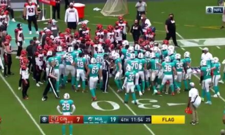 Fines Announced for Bengals-Dolphins Brawl