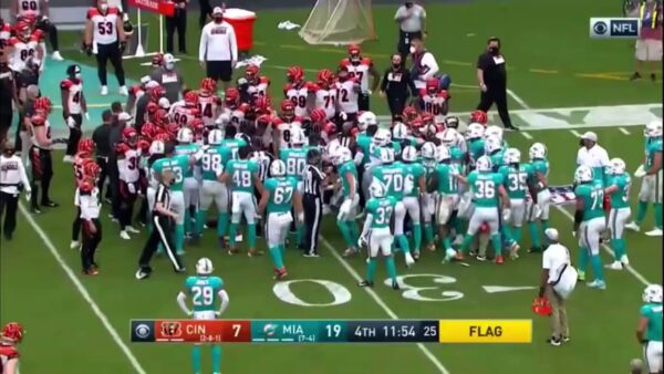 Fines Announced for Bengals-Dolphins Brawl