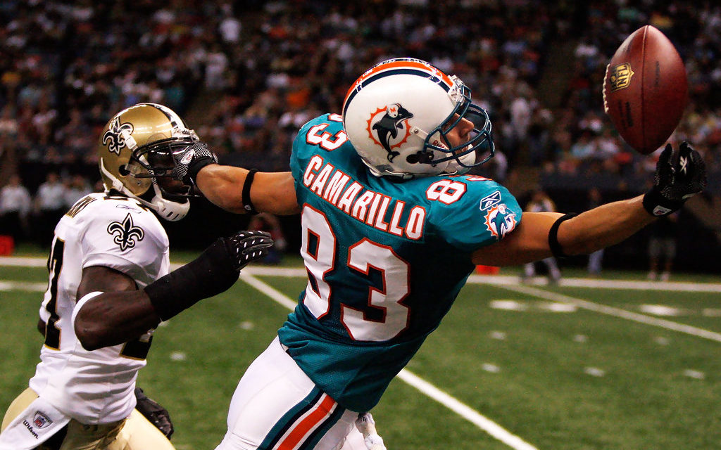 Is Greg Camarillo The Most Important Dolphin Ever?