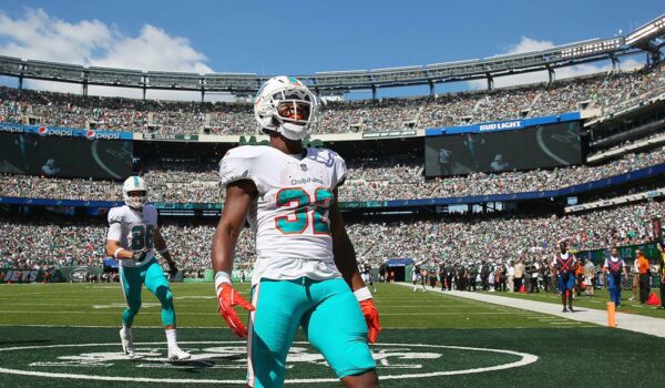 Some Dolphins Players I Want To See More Of