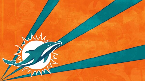 Dolphins bring high expectations