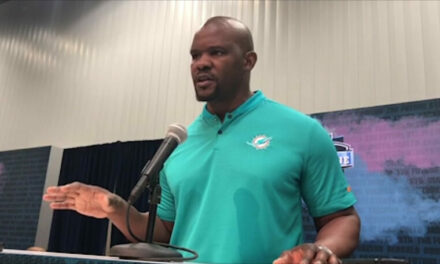 Dolphins with Inexperienced Head Coaches