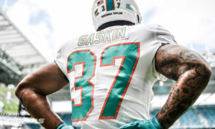 Which Dolphin will be the Most Productive Fantasy Player in 2021?