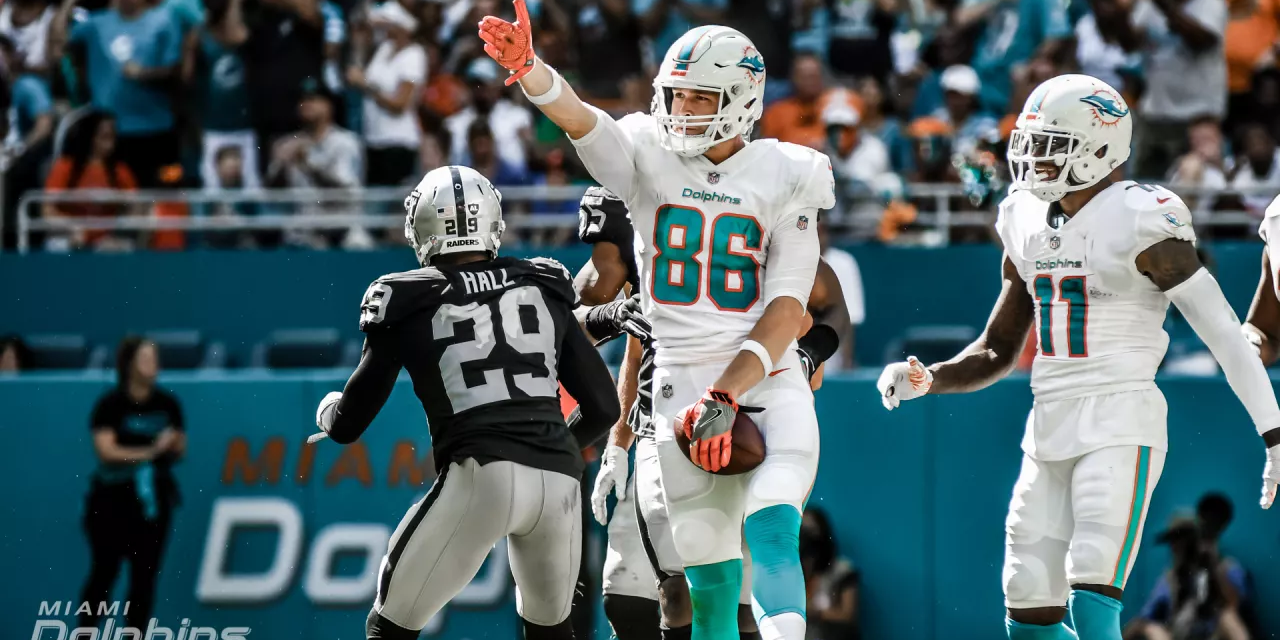 5 Goals For The Dolphins Against The Bears