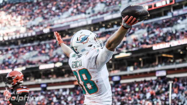 Can Dolphins Carry This Momentum Into Next Year
