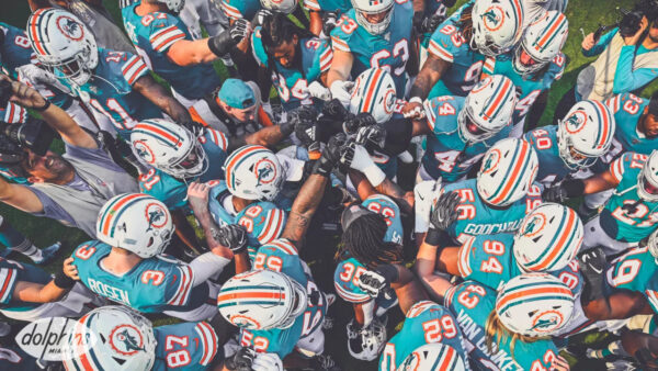 This 2020 Dolphins Season is About Development