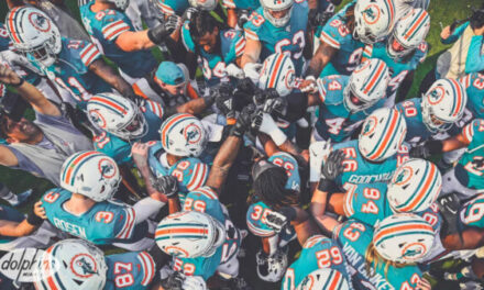 Wins are More Important Than Losses for These Dolphins