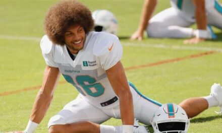 Miami Dolphins Re-Sign WR Mack Hollins
