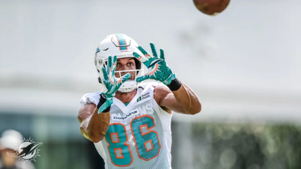 Mack Hollins is a Dog the Dolphins Need