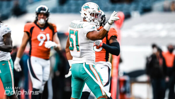 Dolphins Fall Apart in Denver