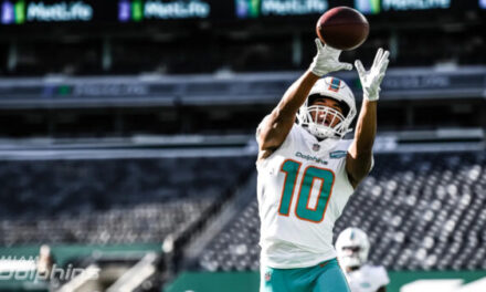 Miami Dolphins Player Spotlight: Malcolm Perry
