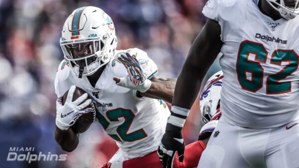 Dolphins Pulse Check-Week 7