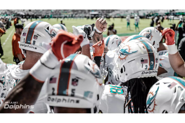 Dolphins Newcomers Reveal How They Stay Fit at Home