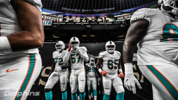 Dolphins Should Embrace The Underdog Role